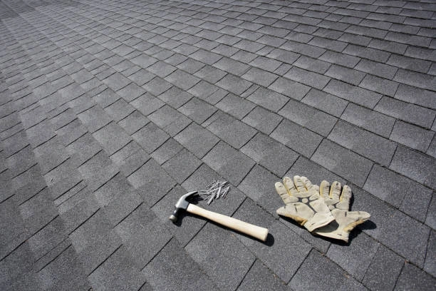 Professional Roof Repair Companies in New Orleans